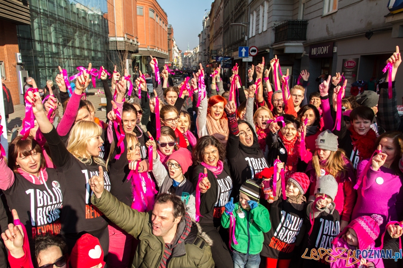 One Billion Rising – Nazywam się Miliard - Poznan 14.02.2015 r.  Foto: LepszyPOZNAN.pl / Paweł Rychter