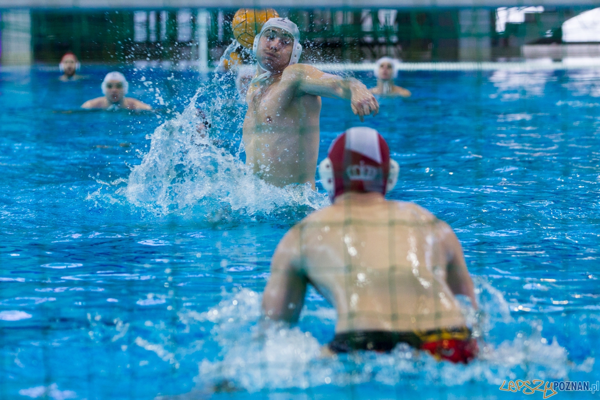 DSW Waterpolo Poznań - Arkonia Szczecin  Foto: lepszyPOZNAN.pl / Piotr Rychter