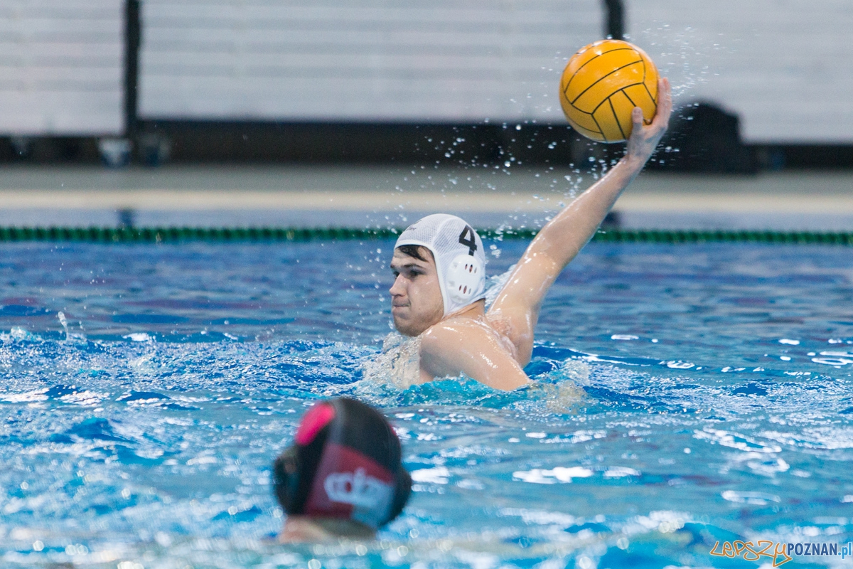 DSW Waterpolo Poznań – Arkonia Szczecin  Foto: lepszyPOZNAN.pl / Piotr Rychter