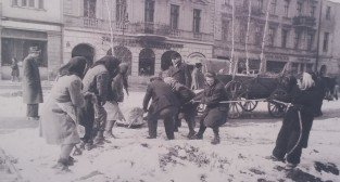 Sadzenie brzóz w Alejach Marcinkowskiego - 11 marca 1949  Foto: Miejski Konserwator Zabytków