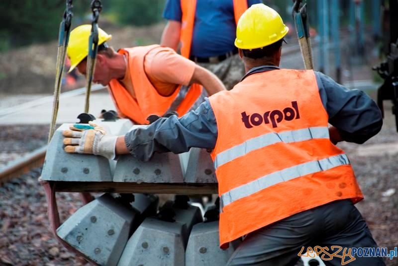 Torpol z zyskiem i norweskimi kontraktami  Foto: Torpol