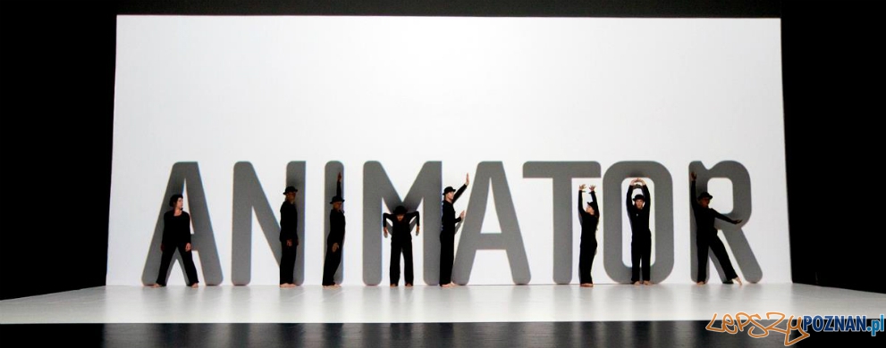 Animator 2015  Foto: mat. pras.