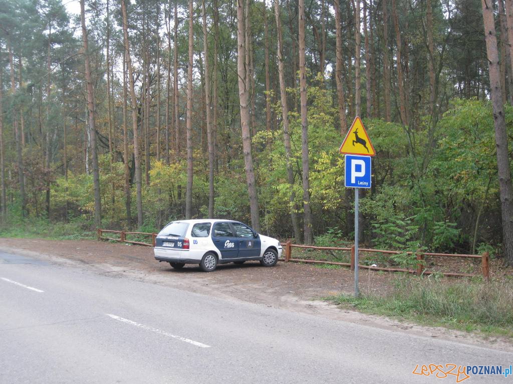 Parking lesny  Foto: Straż Miejska Miasta Poznania