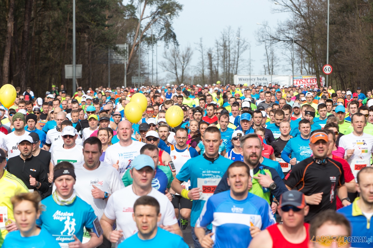 8 Poznań Półmaraton  Foto: lepszyPOZNAN.pl / Piotr Rychter