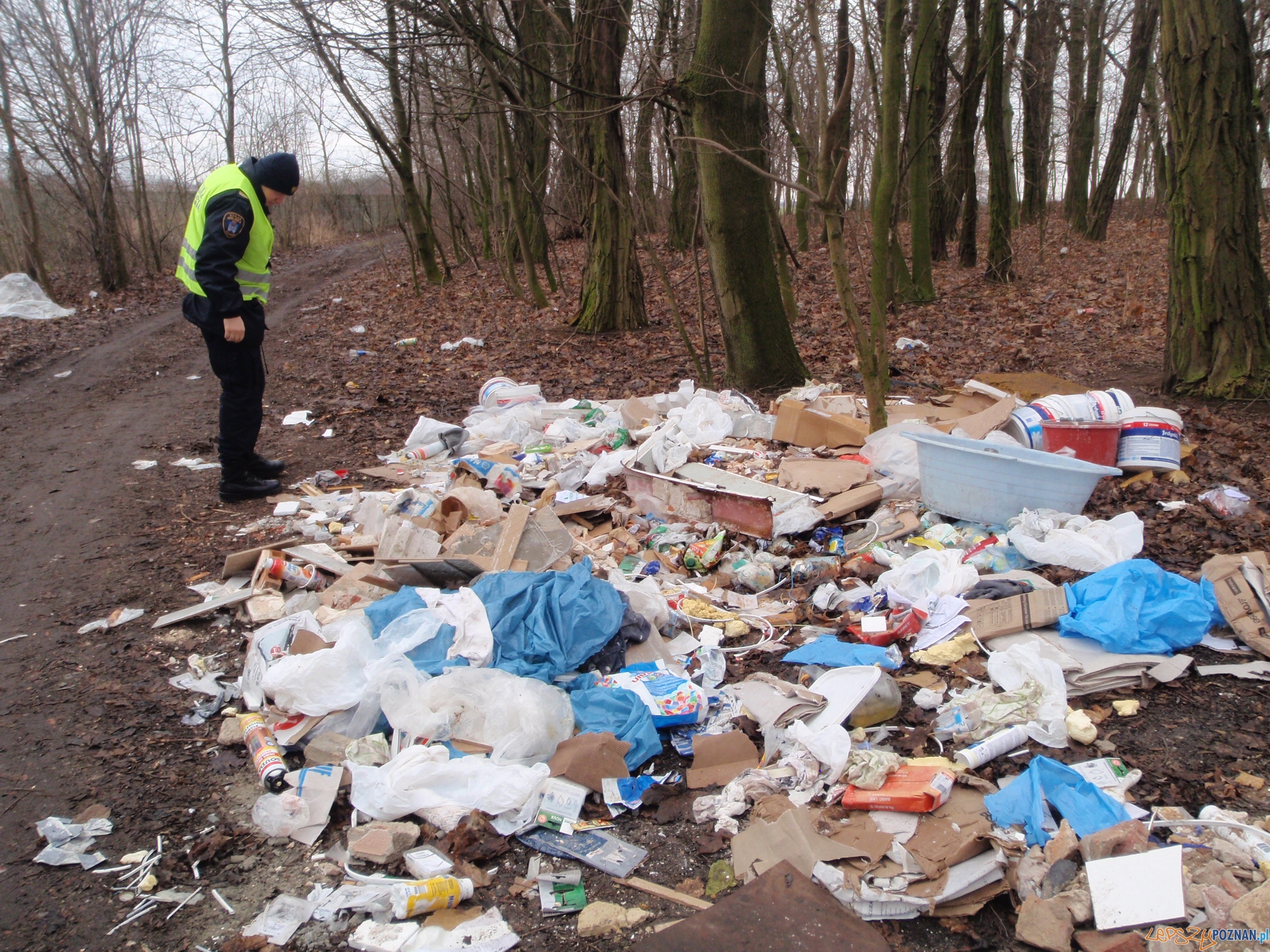 Śmieci w lesie na Golęcinie  Foto: Straż Miejska