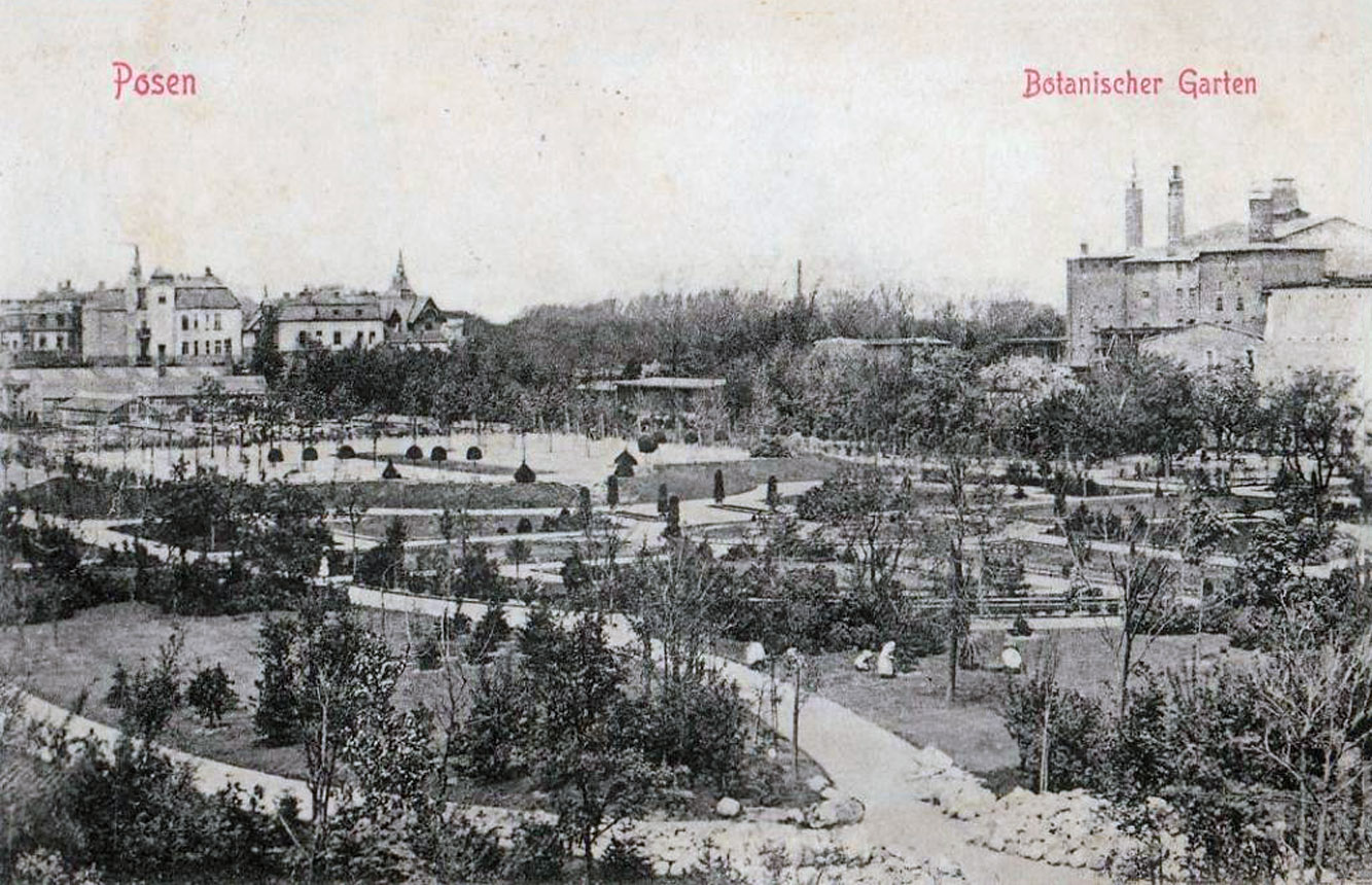 Park Wilsona 1915  Foto: Biblioteka Uniwersytecka