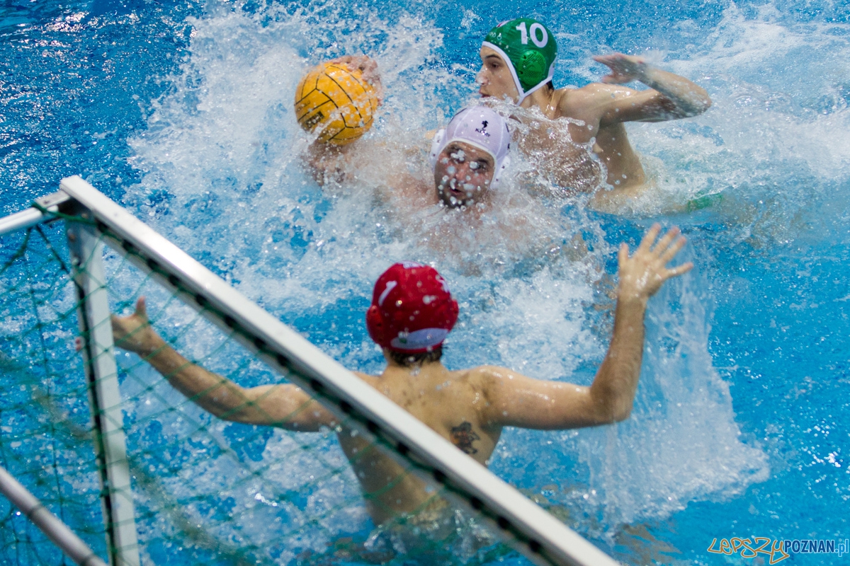 DSW Waterpolo Poznań - UKPW Legia Warszawa  Foto: lepszyPOZNAN.pl / Piotr Rychter