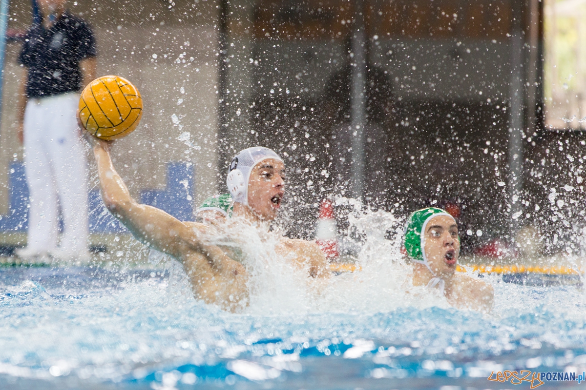 DSW Waterpolo Poznań - UKPW Legia Warszawa  Foto: lepszyPOZNAN.pl / Piotr Rychter