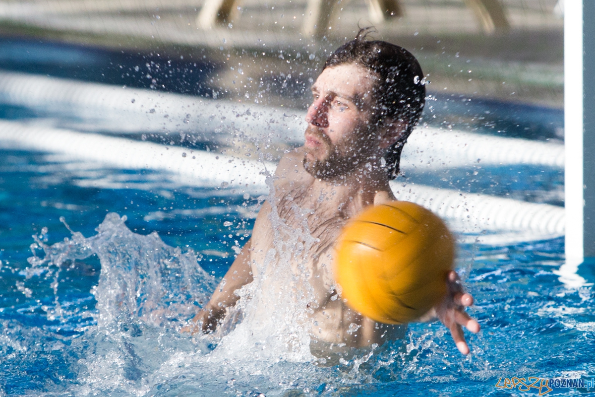 DSW Waterpolo Poznań - UKPW Legia Warszawa  Foto: lepszyPOZNAN.pl / Piotr Rychter