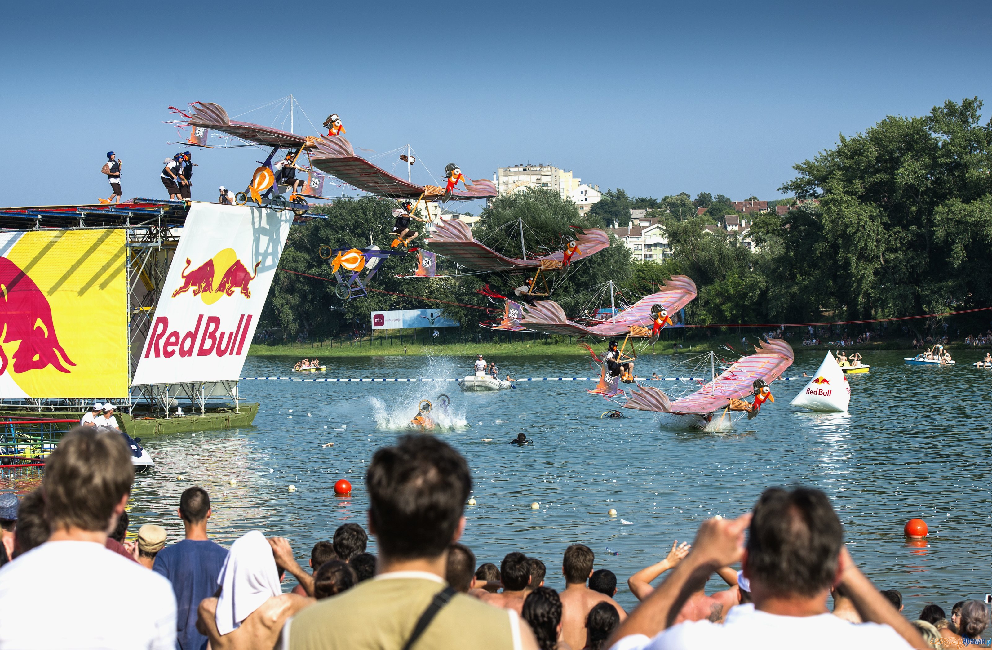Konkurs Lotow Red Bull_Serbia_fot. Mihai Stetcu_Red Bull Content Pool  Foto: 