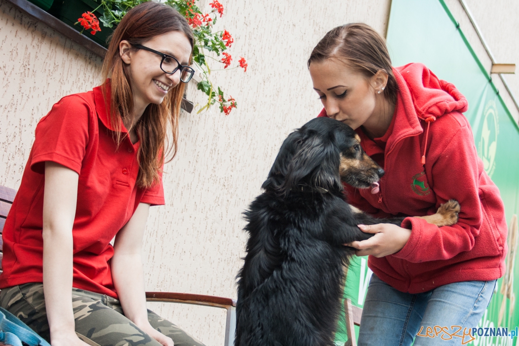 51. urodziny schroniska w Poznaniu (30.05.2015)  Foto: © lepszyPOZNAN.pl / Karolina Kiraga