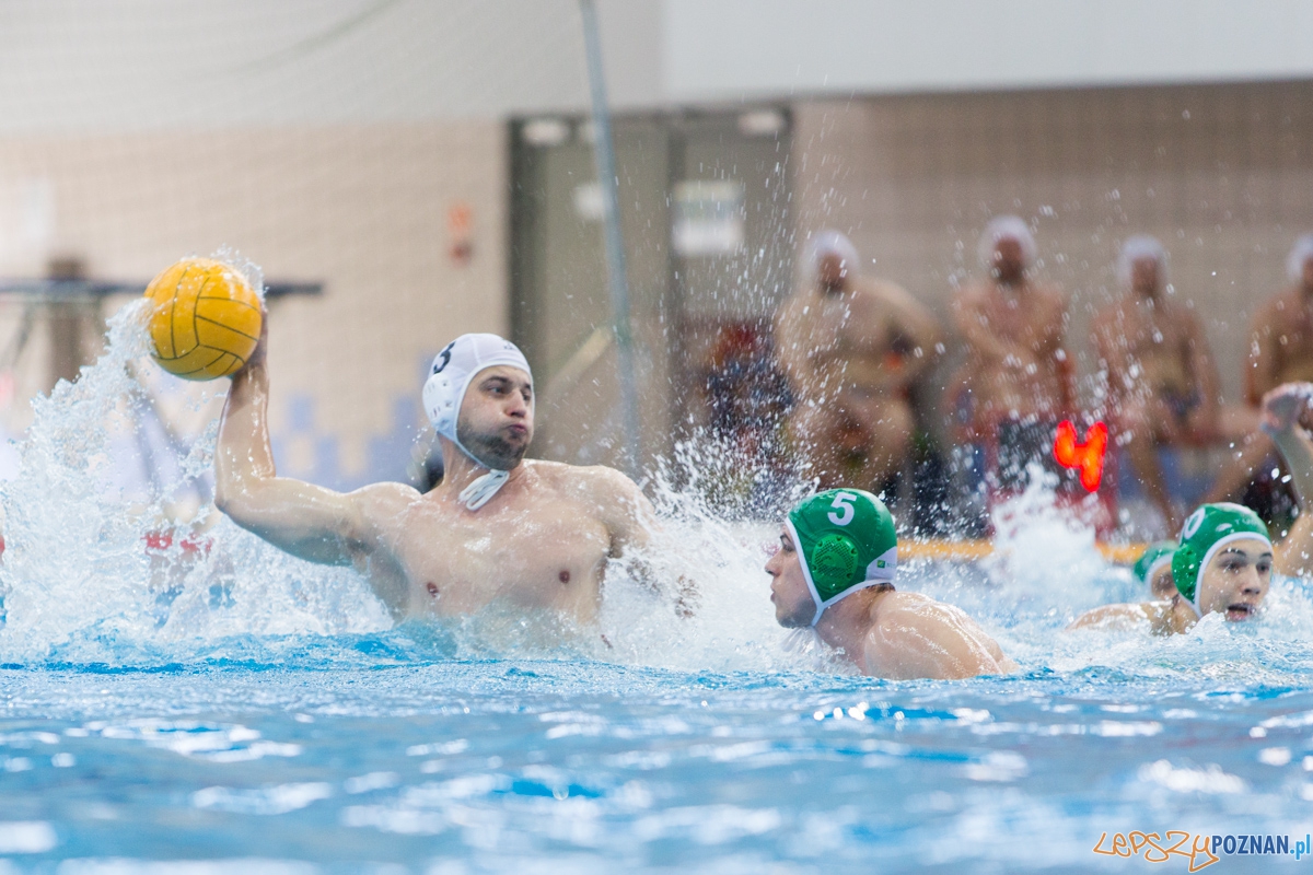 DSW Waterpolo Poznań - UKPW Legia Warszawa  Foto: lepszyPOZNAN.pl / Piotr Rychter