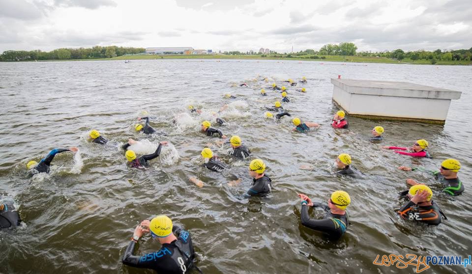 Pływanie na Malcie - konkurencja triathlonu  Foto: Endu Sport