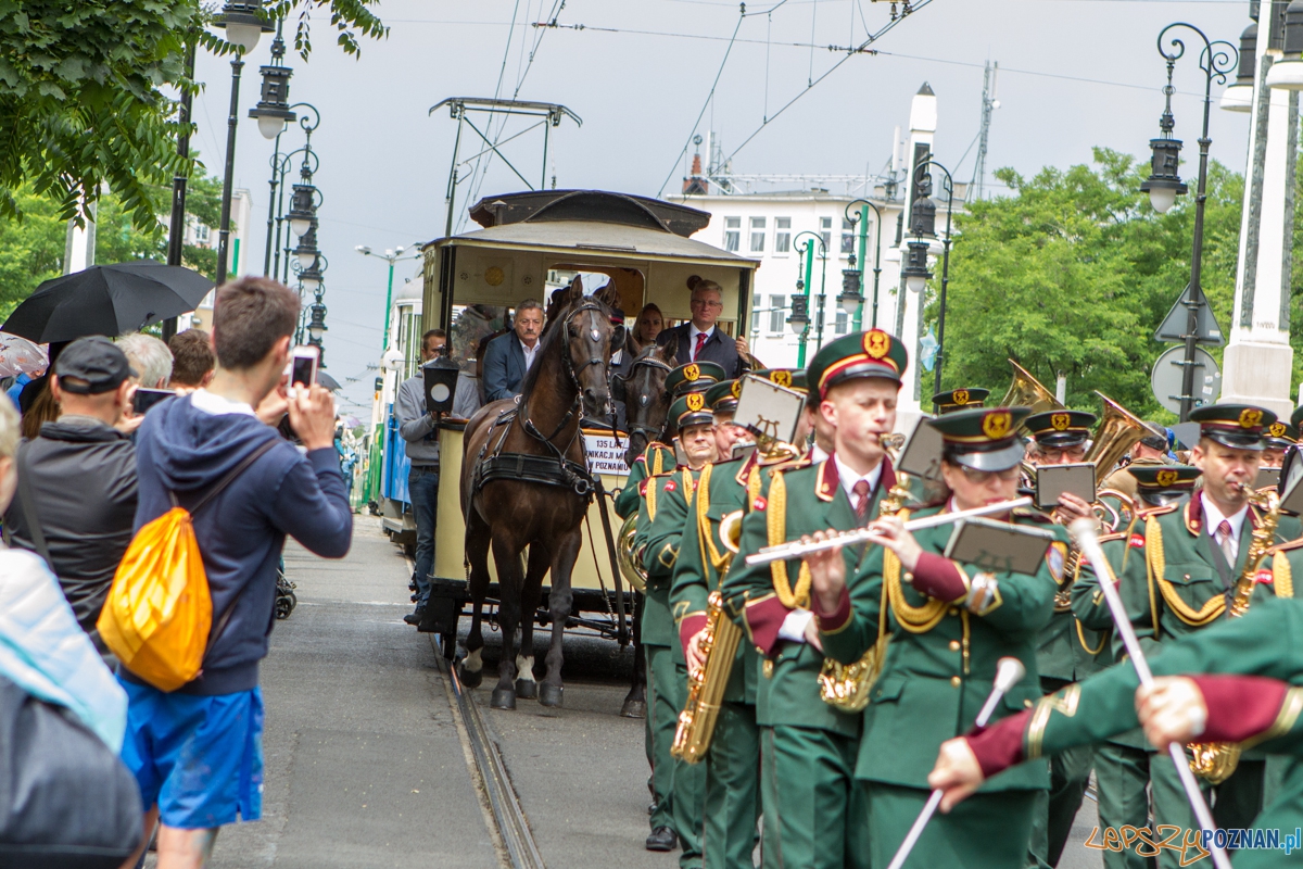 135 komunikacji miejskiej w Poznaniu - 21.06.2015 r.  Foto: LepszyPOZNAN.pl / Paweł Rychter