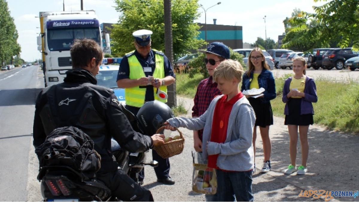 Jabłko czy cytrynka?a  Foto: KW Policji w Poznaniu