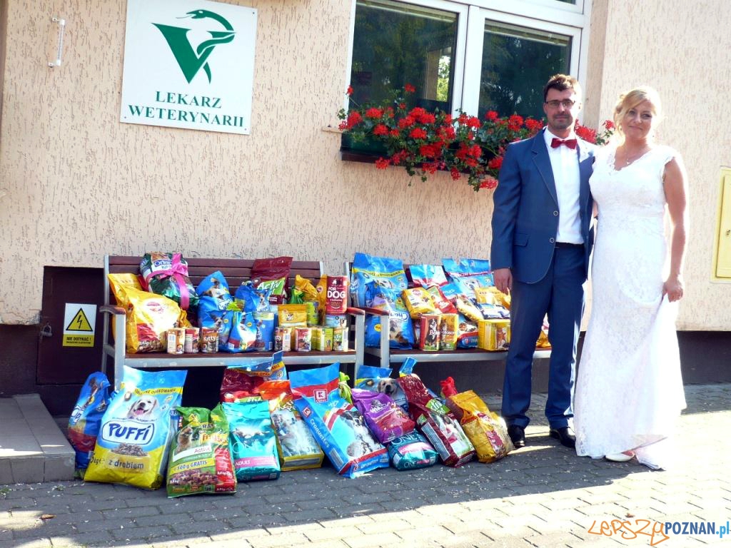 Monika i Michał poprosili swoich weselnych gości, by zamiast kwiatów przynieśli na ich wesele karmę dla zwierząt  Foto: Schronisko dla Zwierząt w Poznaniu