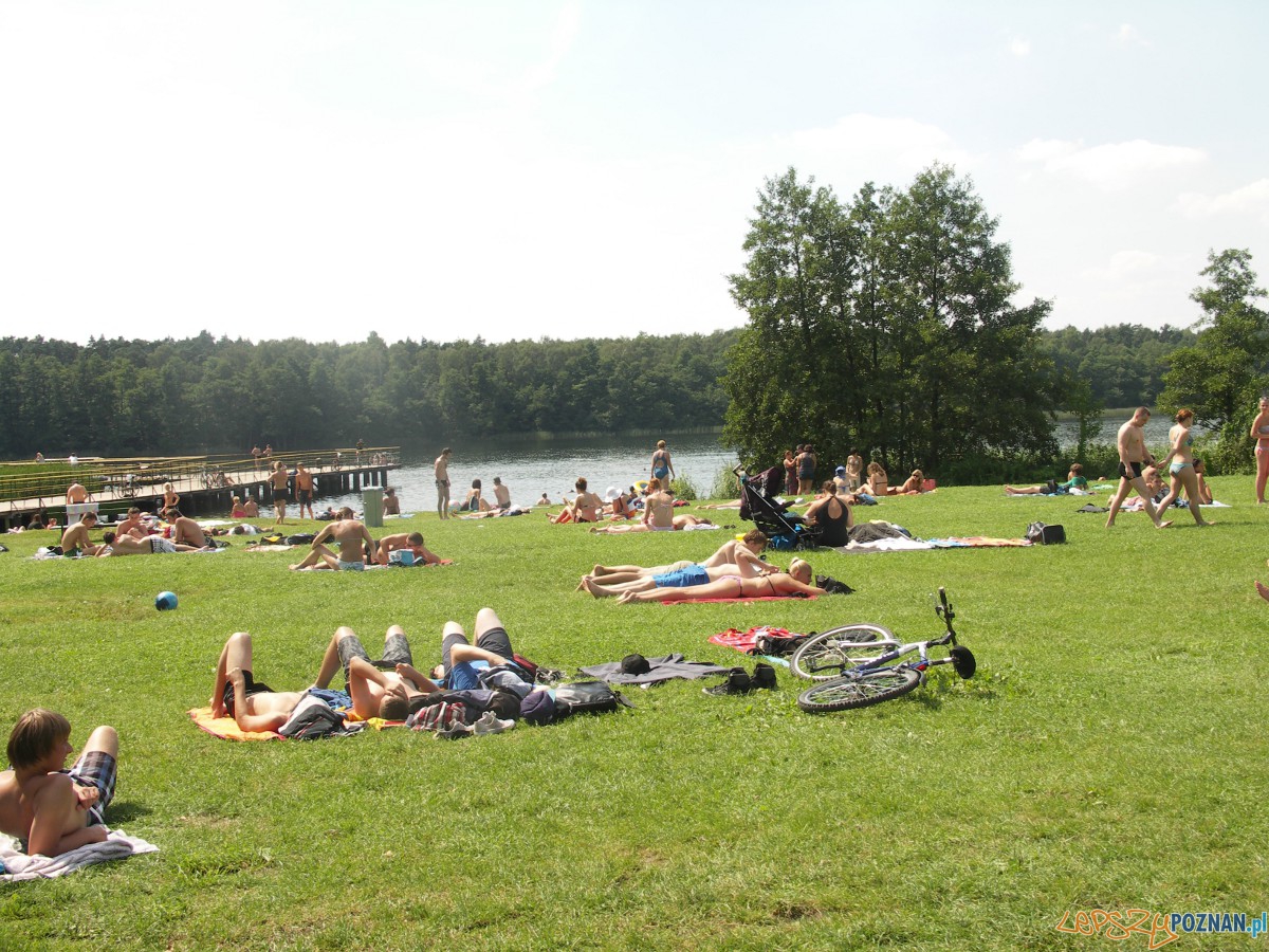 Plaża w Strzeszynku  Foto: strzeszynek.pl/Restauracja Oaza