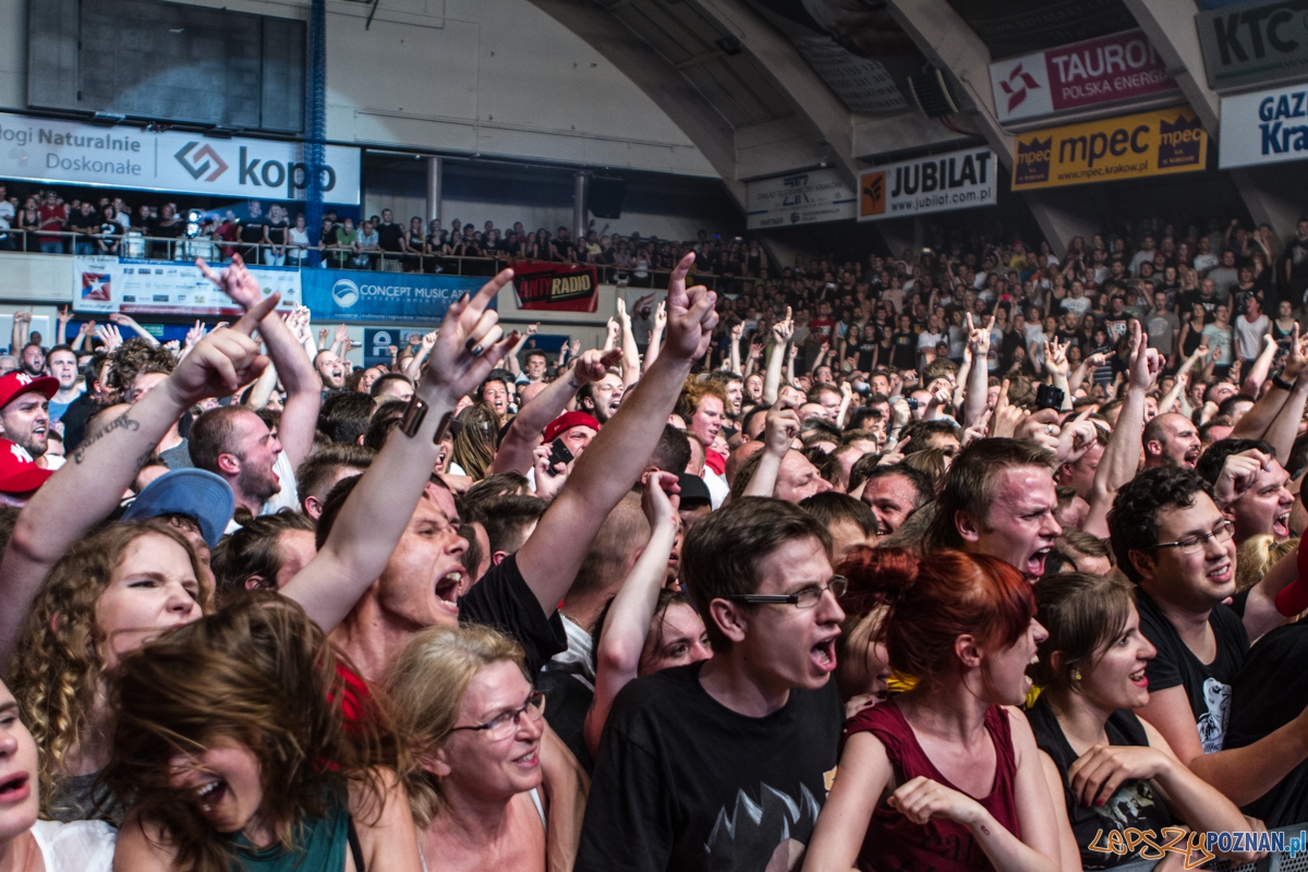 Koncert Limp Bizkit - Kraków 07.06.2015 r.  Foto: lepszyPOZNAN.pl / Paweł Rychter