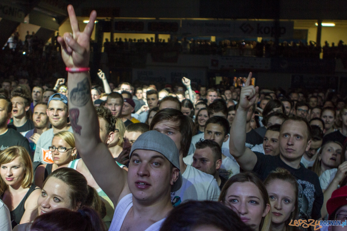 Koncert Limp Bizkit - Kraków 07.06.2015 r.  Foto: lepszyPOZNAN.pl / Paweł Rychter