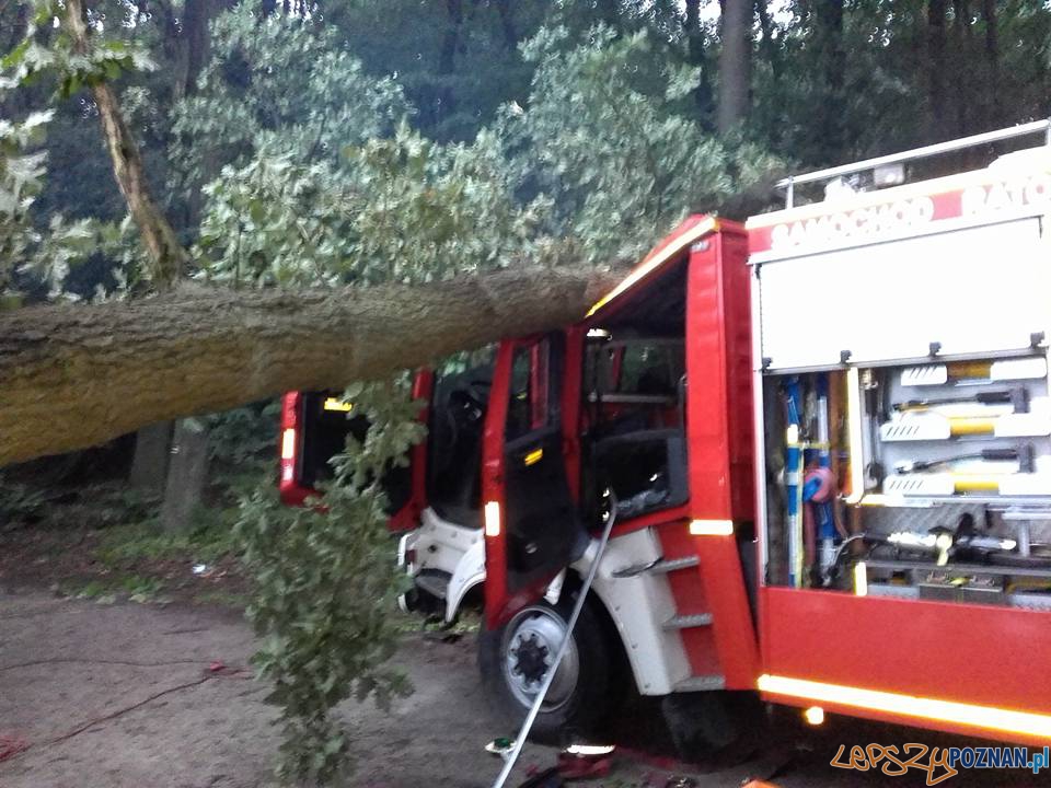 Tragiczne żniwo burzy w Mosinie  Foto: facebook / Heavy Rescue SGRT OSP Mosina