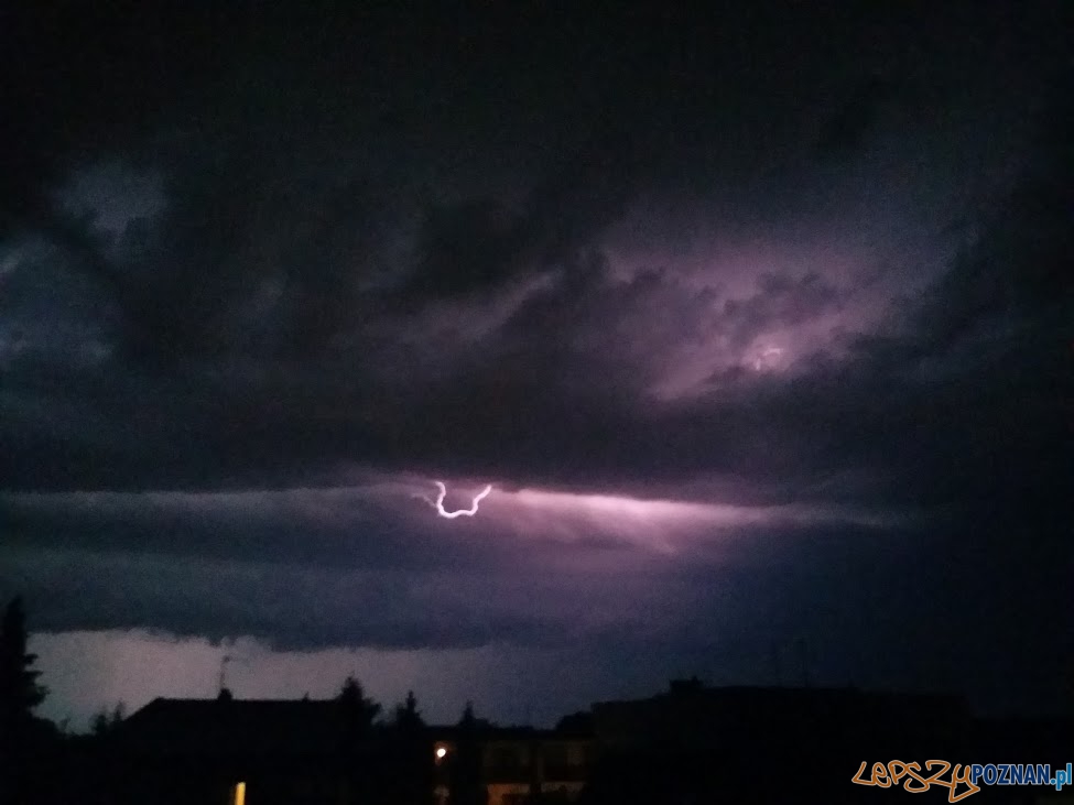 Gwałtowna burza wyrządziła sporo szkód  Foto: lepszyPOZNAN.pl / tab