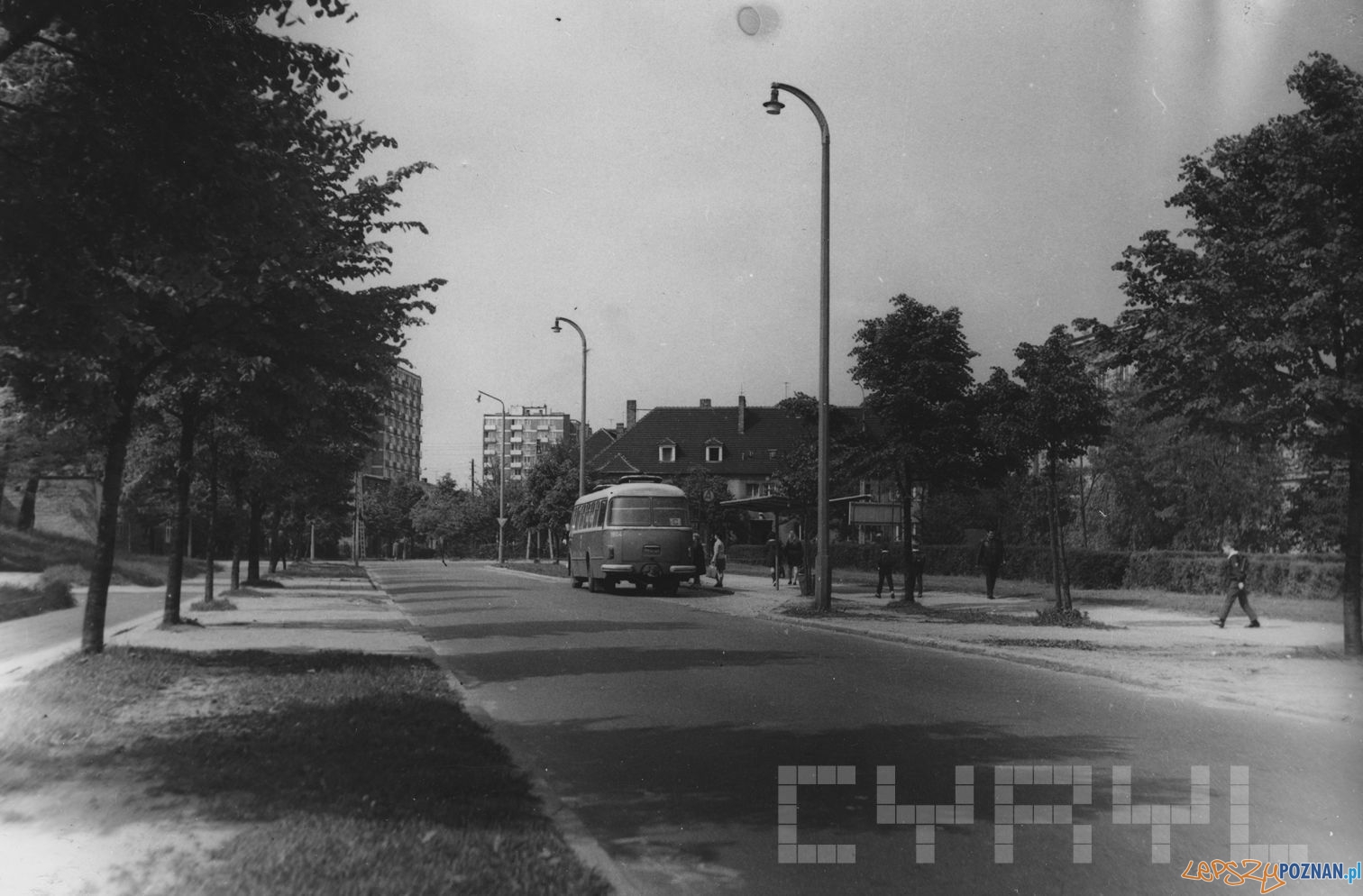 Autobus pospieszny C na przystanku przy ul. Łozowej nieopodal skrzyżowania z ul. Czechosłowacką - lata 70.te  Foto:  S. Wiktor/  Cyryl