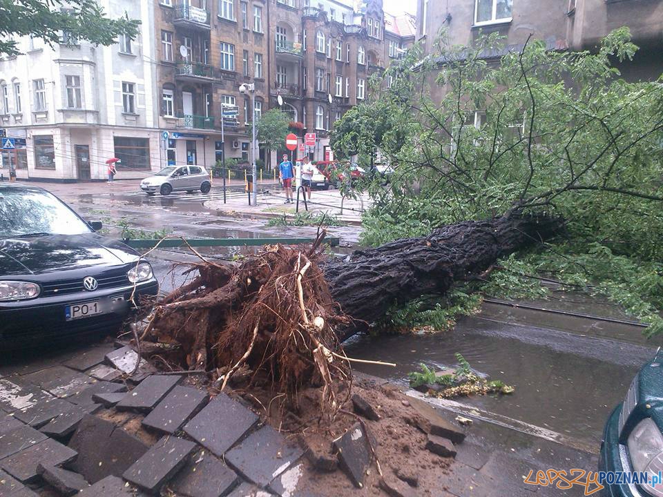 Gwałtowna burza przeszła nad Poznaniem  Foto: Szymon