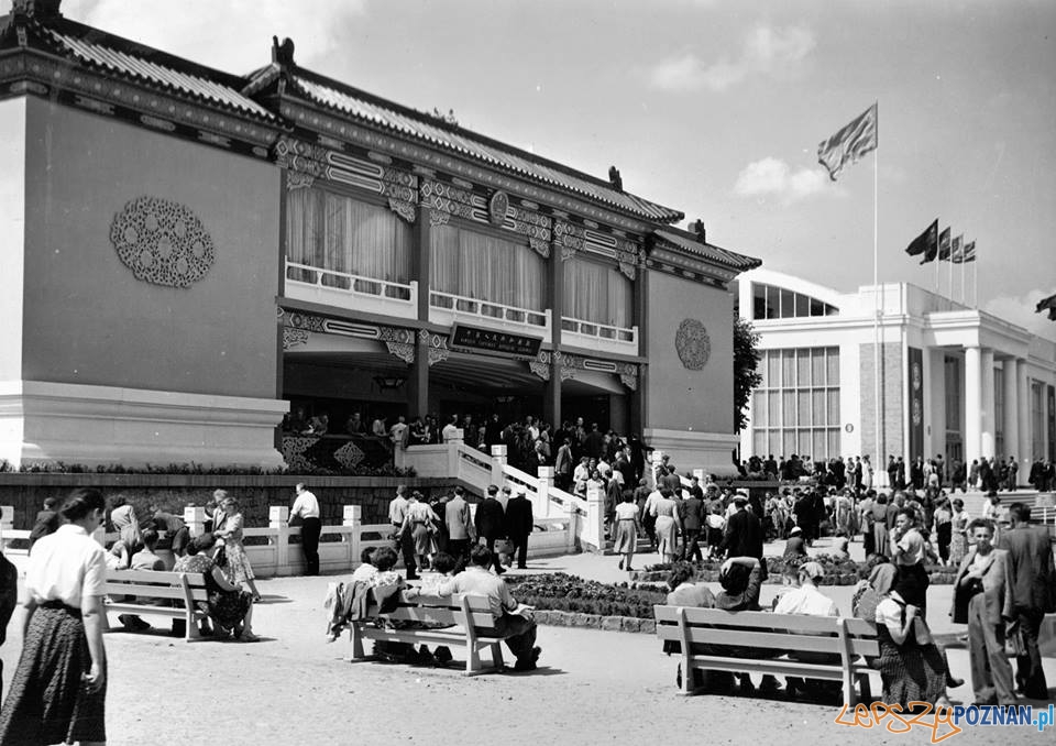 Pawilon chiński na MTP w 1955-56 roku  Foto: Archiwum MTP