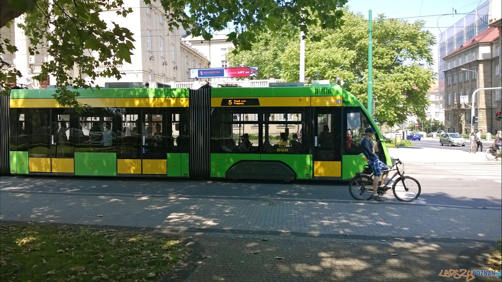 Tramwaj na Fredry  Foto: Tomasz Dworek