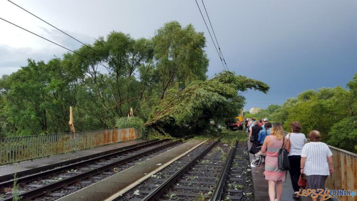 Gwałtowna burza przeszła nad Poznaniem - trasa pestki  Foto: Piotr Tarara