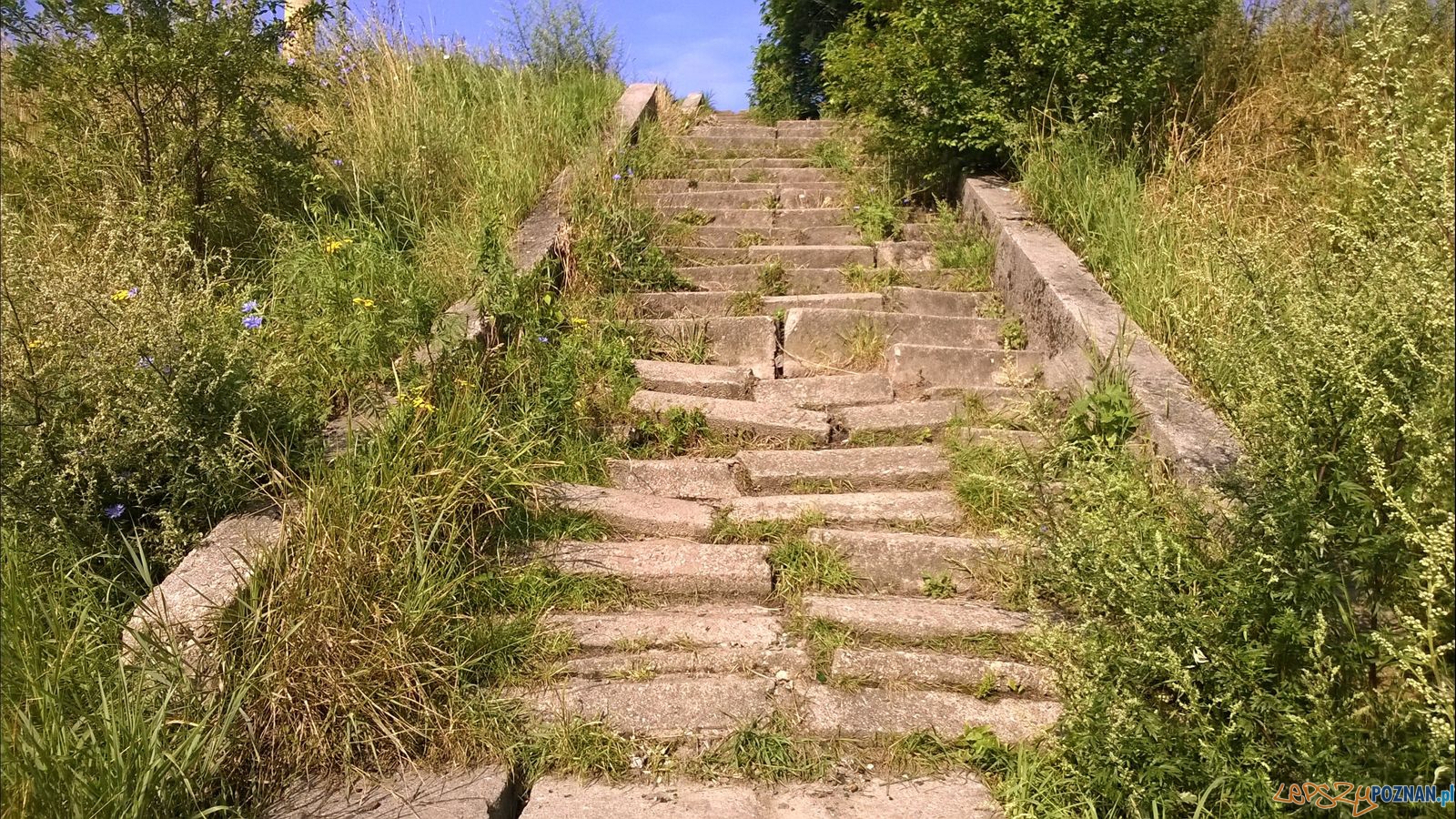 Zdewastowane schody nad Wartą  Foto: Tomasz Dworek