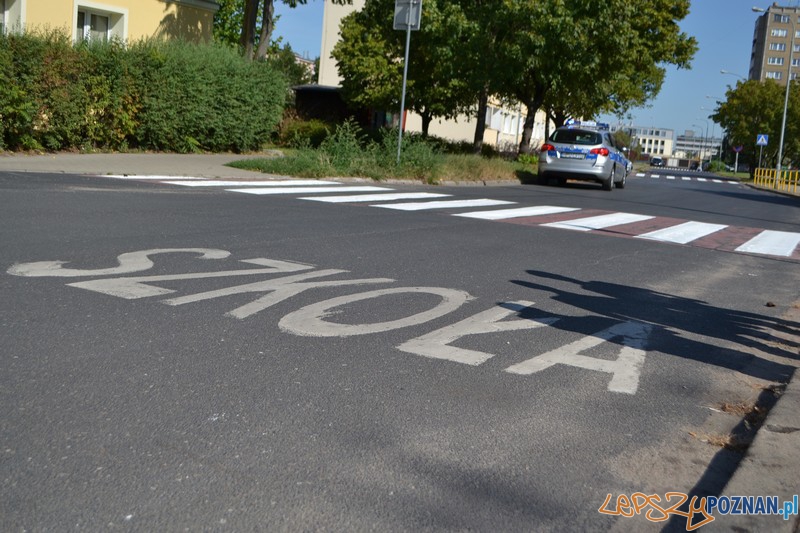 Bezpieczna droga do szkoły  Foto: KW Policji w Poznaniu