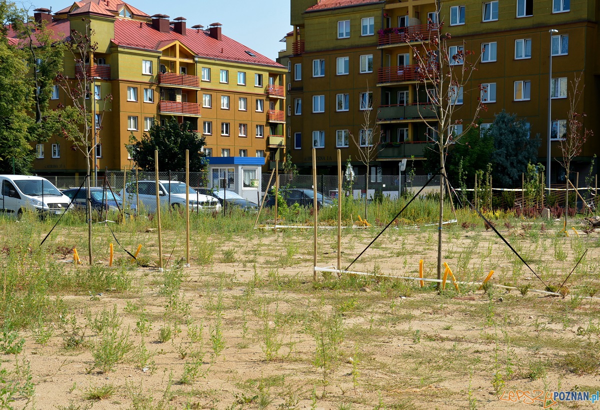 Parking dla pacjentów POSUM  Foto: UM Poznania