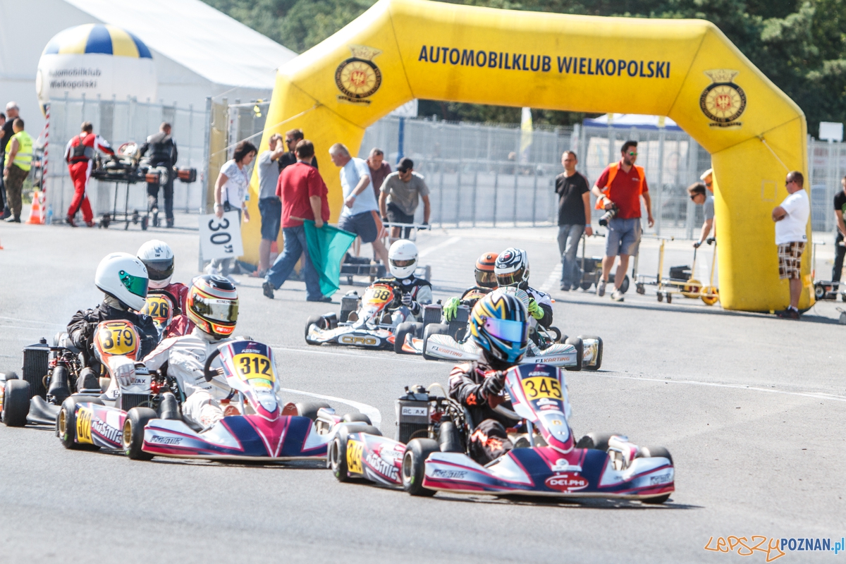 Zawody kartingowe Rotax Max Challenge Poland - Tor Poznań - 1-2  Foto: LepszyPOZNAN.pl / Paweł Rychter