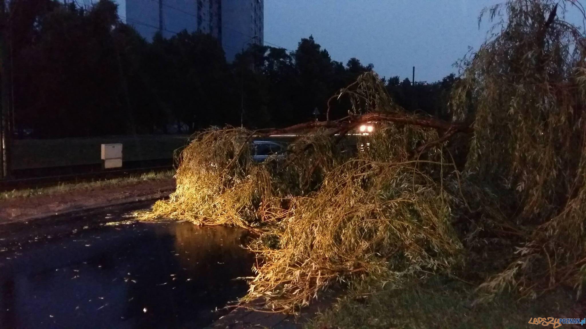 Utrudnienia po nawałnicy  Foto: Zdzisław Radkowski