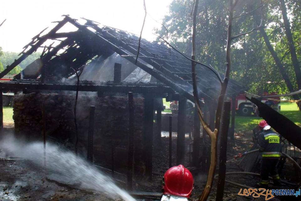 Spłonęła altana w ogrodzie restauracji  Foto: PSP  w Poznaniu