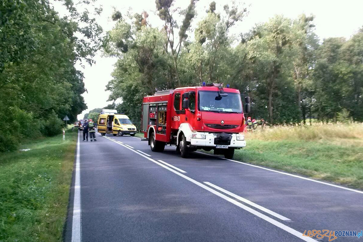 Śmiertelny wypadek pod Śremem  Foto: Śrem na sygnale / / Michał Ratajczyk