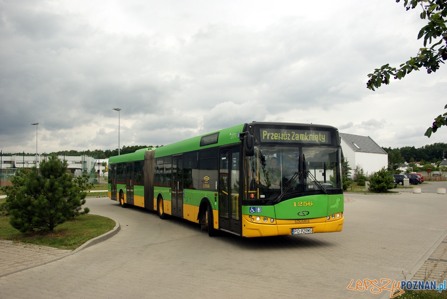 Autobus na rondzie w Dąbrówce  Foto: Gmina Dopiewo