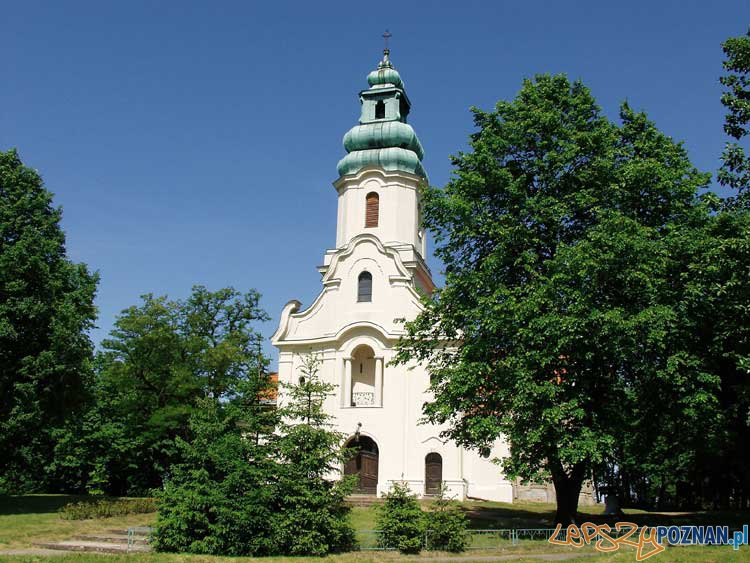 Sanktuarium Matki Bożej Pocieszenia, parafii pw. NMP Wniebowziętej w Dąbrówce Kościelnej  Foto: parafia pw. NMP Wniebowziętej