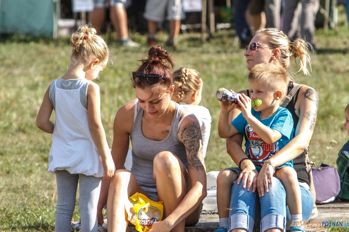 Piknik rodzinny na Cytadeli - Poznań 19.09.2015 r.  Foto: LepszyPOZNAN.pl / Paweł Rychter