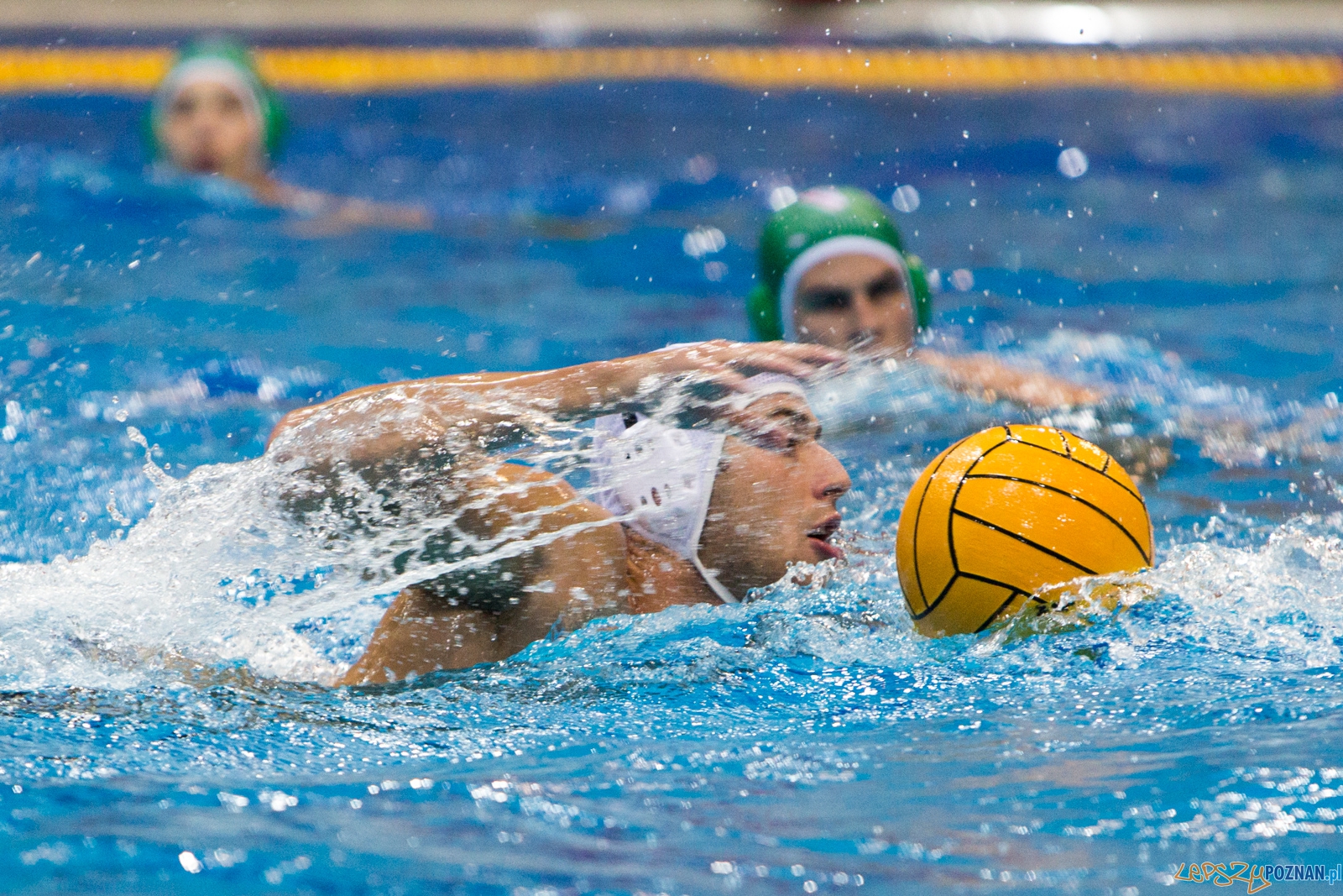 Puchar Polski w piłce wodnej mężczyzn 2015 - Waterpolo Pozna  Foto: lepszyPOZNAN.pl / Piotr Rychter