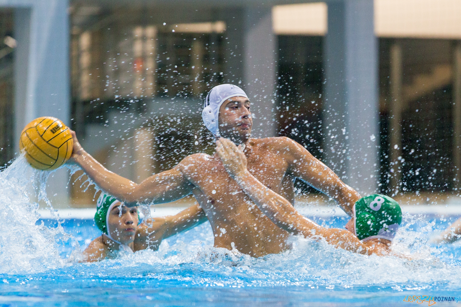 Puchar Polski w piłce wodnej mężczyzn 2015 - Waterpolo Pozna  Foto: lepszyPOZNAN.pl / Piotr Rychter