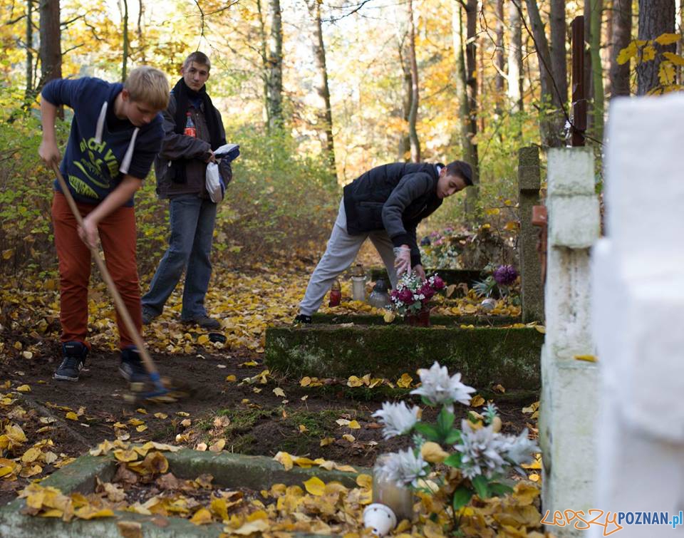 Porządki na zapomnianym cmentarzu  Foto: Gimnazjum 22 w Poznaniu