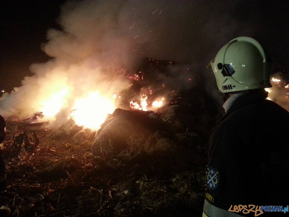 Spłonął stóg siana  Foto: OSP Kostrzyn