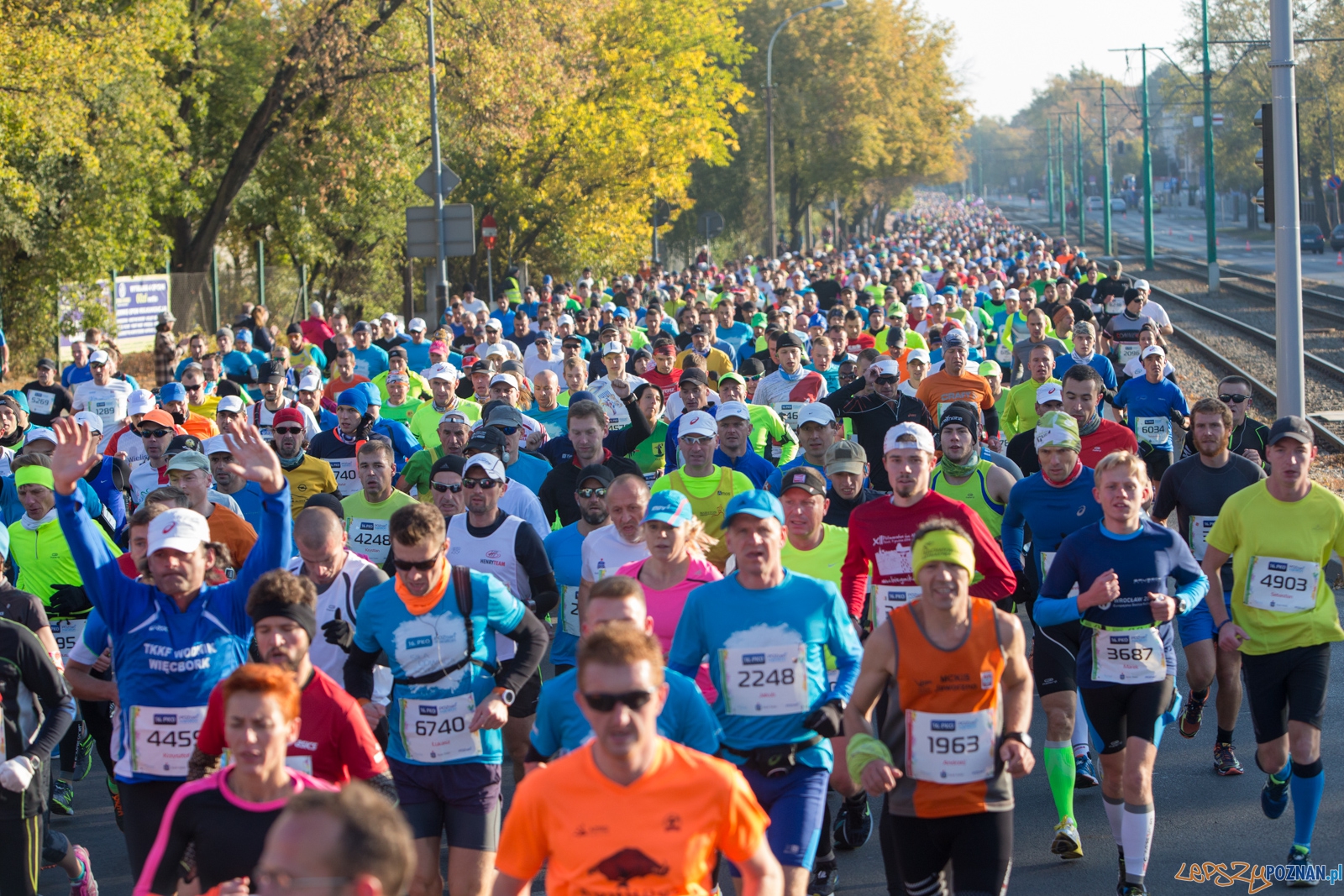 16. Poznań Maraton  Foto: lepszyPOZNAN.pl / Piotr Rychter