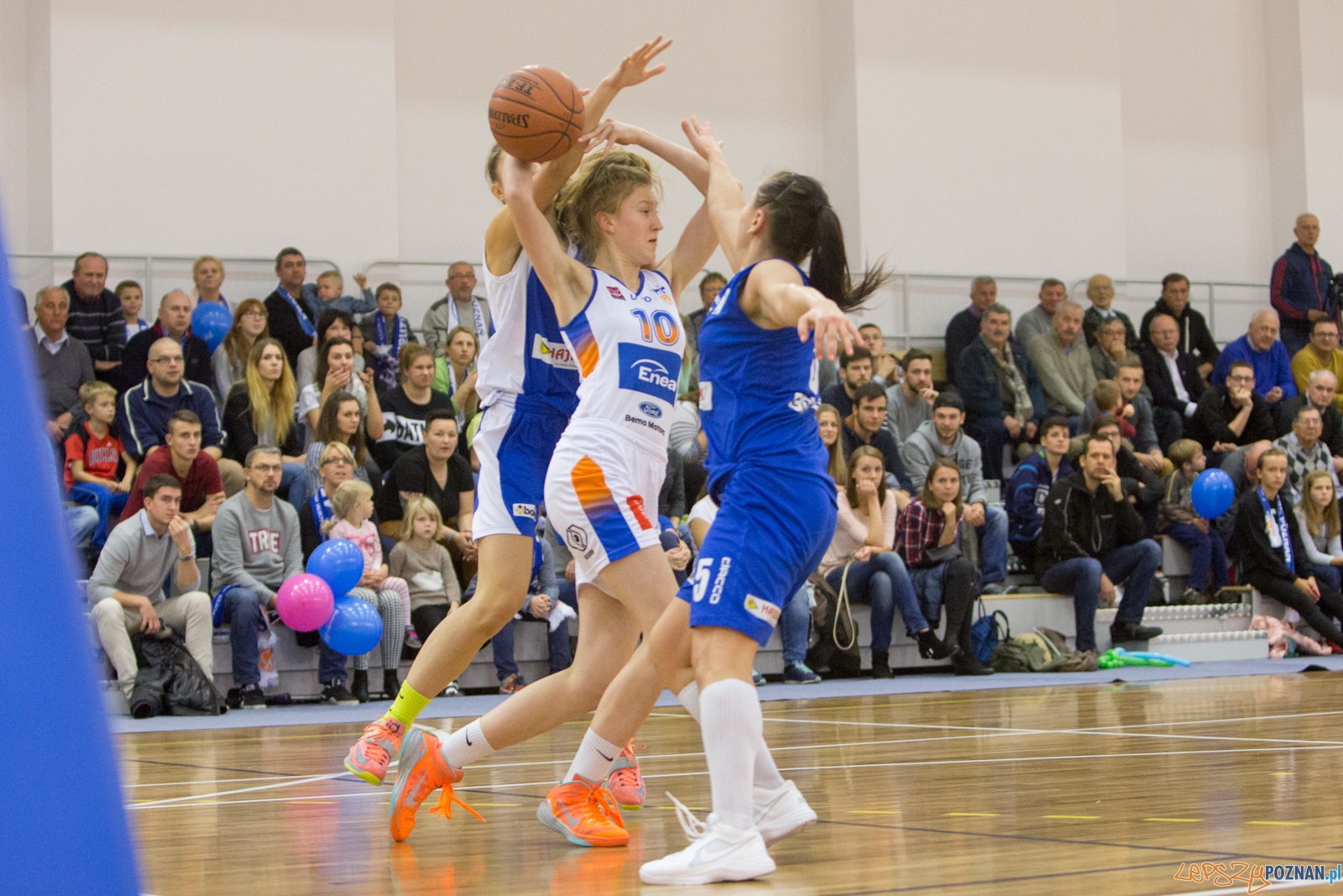 1 liga Kobiet Enea AZS Poznań - AZS PWSZ II Gorzów  Foto: lepszyPOZNAN.pl / Piotr Rychter