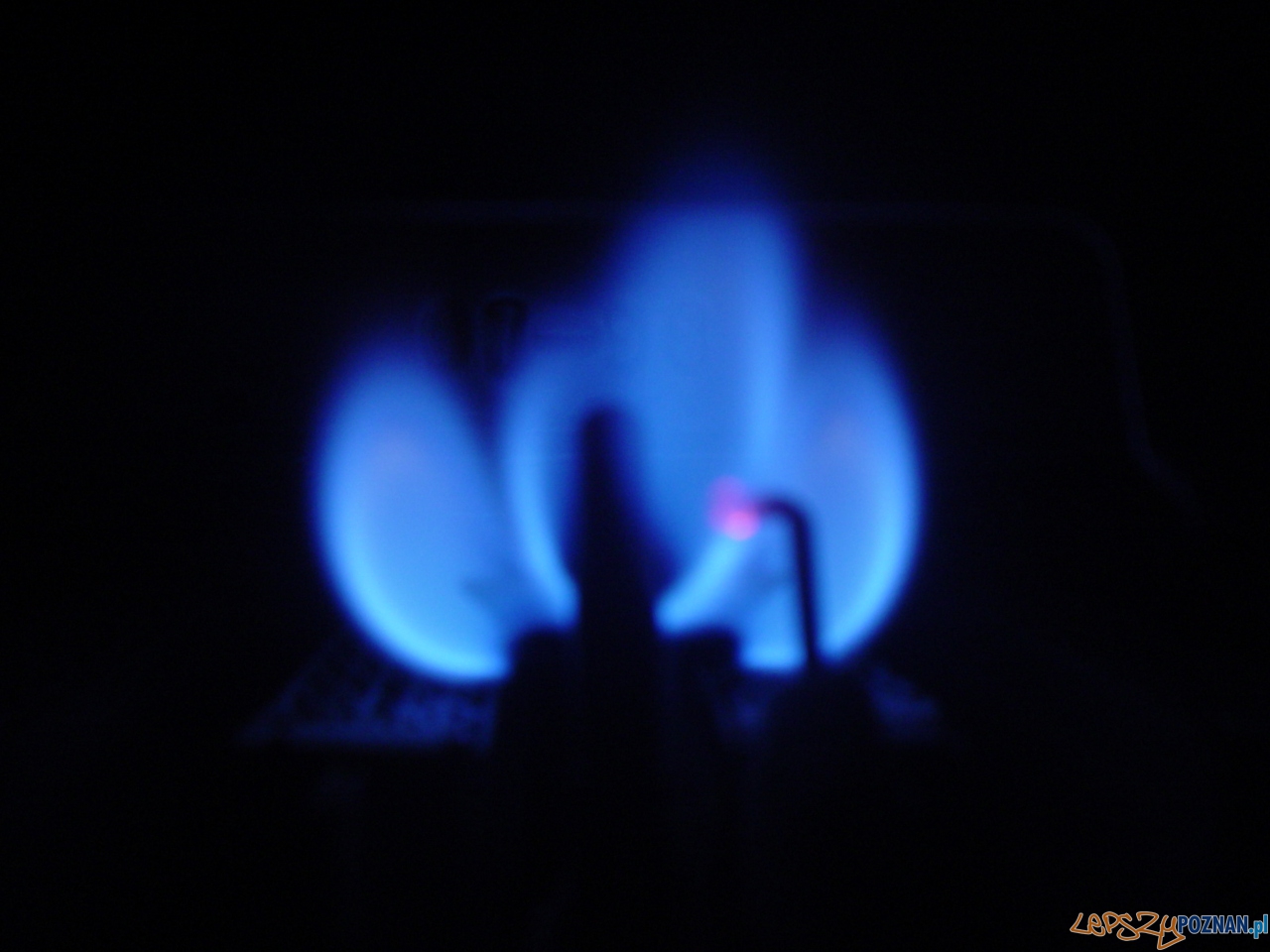 ogień gaz  Foto: sxc / GUILLERMO FOCANTI