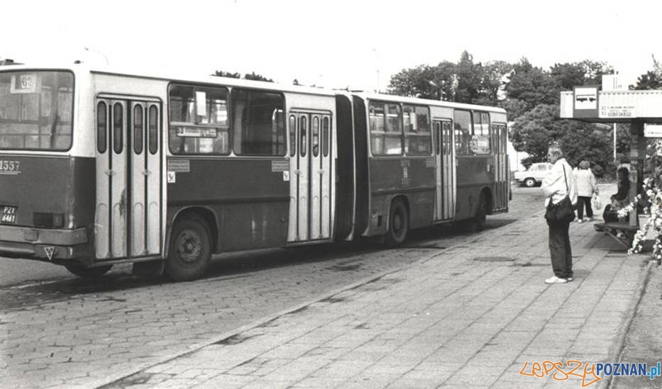 Ikarus na Górczynie, początek lat 90.tych  Foto: Piotr Kopa