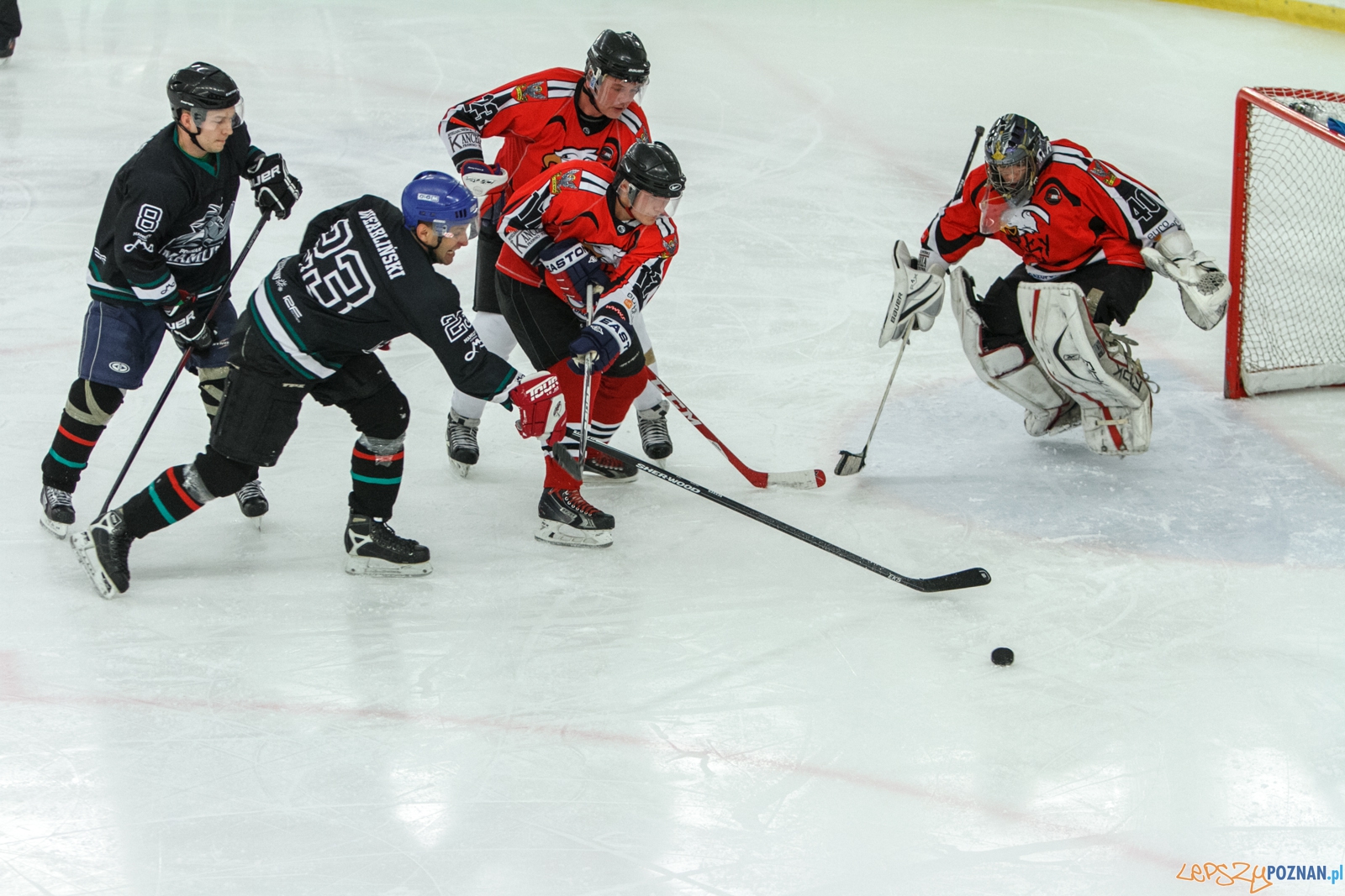 Mamuty Poznań - Orły Oleśnica 4:6 - Poznań 31.10.2015 r.  Foto: LepszyPOZNAN.pl / Paweł Rychter