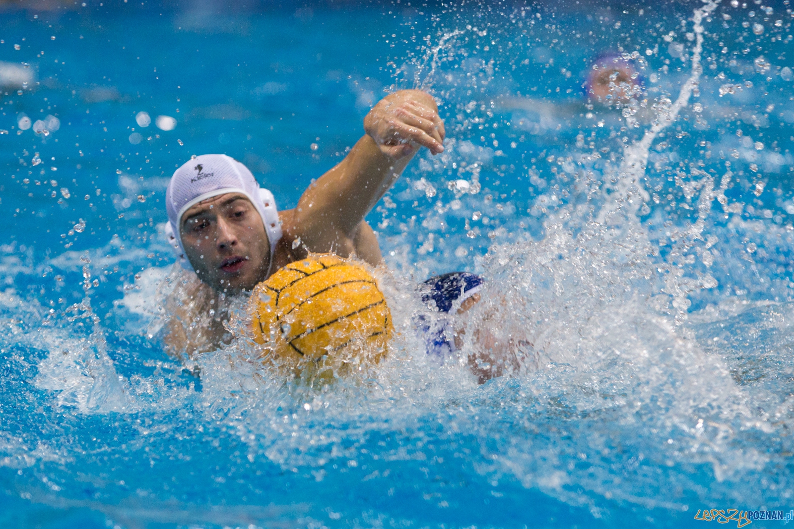 3. kolejka Ekstraklasy Piłki Wodnej - KS Waterpolo Poznań - GK  Foto: lepszyPOZNAN.pl / Piotr Rychter